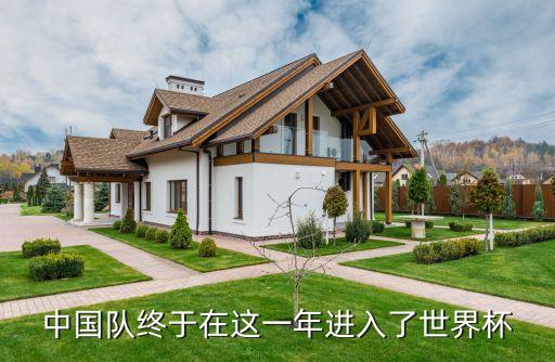 中國(guó)隊(duì)終于在這一年進(jìn)入了世界杯