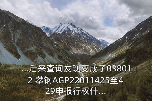 ...后來查詢發(fā)現(xiàn)變成了038012 攀鋼AGP22011425至429申報行權(quán)什...