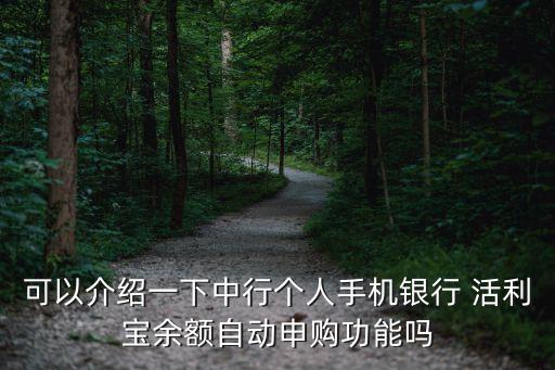 可以介紹一下中行個(gè)人手機(jī)銀行 活利寶余額自動(dòng)申購功能嗎