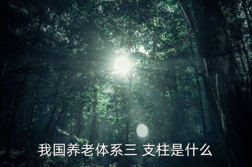 中國三大支柱