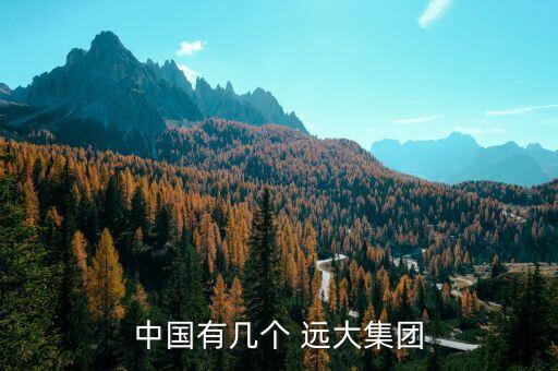 中國有幾個(gè) 遠(yuǎn)大集團(tuán)