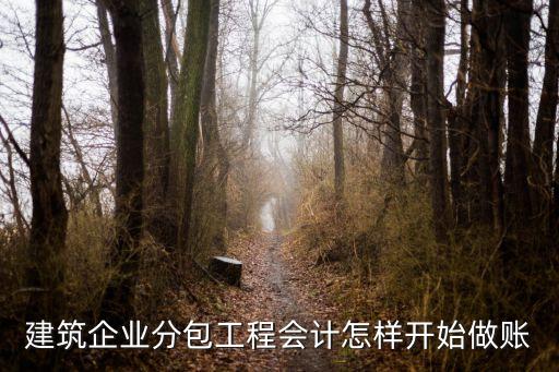 法國興業(yè)銀行財(cái)務(wù)分析,興業(yè)銀行是法國的還是中國的