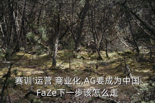 賽訓 運營 商業(yè)化,AG要成為中國FaZe下一步該怎么走