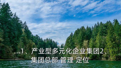 ...1、產(chǎn)業(yè)型多元化企業(yè)集團2、集團總部 管理 定位