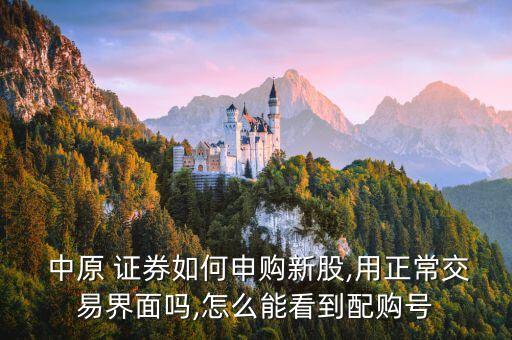 中原證券為啥買(mǎi)不了6開(kāi)頭的股票