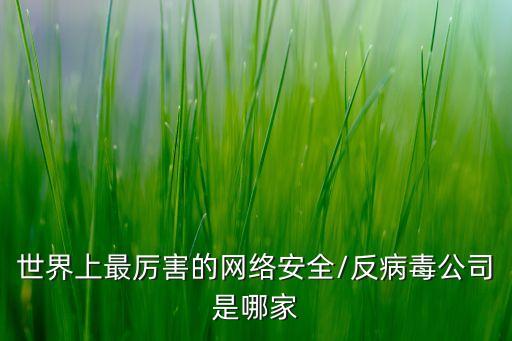世界上最厲害的網絡安全/反病毒公司是哪家