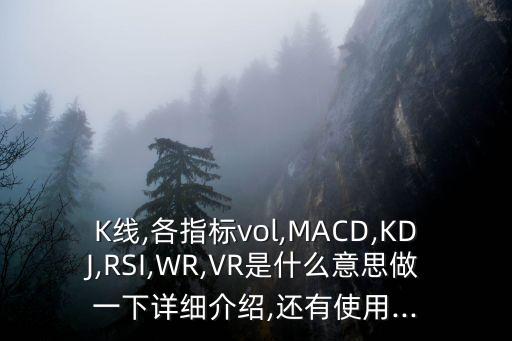 K線,各指標(biāo)vol,MACD,KDJ,RSI,WR,VR是什么意思做一下詳細介紹,還有使用...