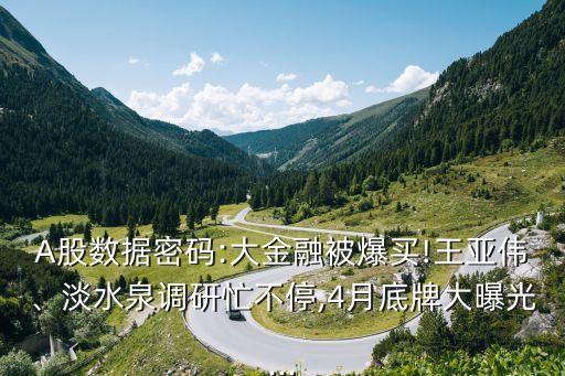 A股數(shù)據(jù)密碼:大金融被爆買!王亞偉、淡水泉調(diào)研忙不停,4月底牌大曝光...