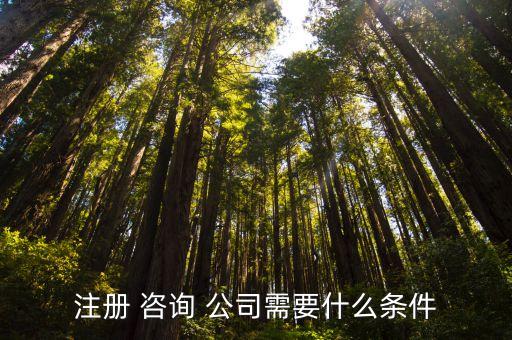 注冊(cè) 咨詢 公司需要什么條件