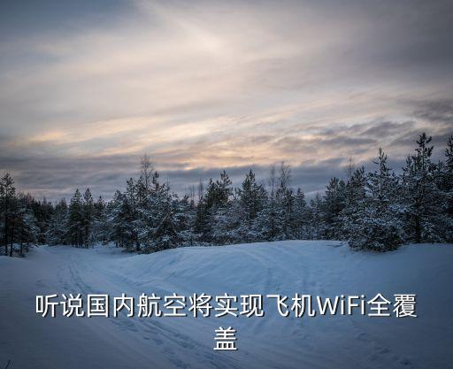 聽說國內(nèi)航空將實(shí)現(xiàn)飛機(jī)WiFi全覆蓋