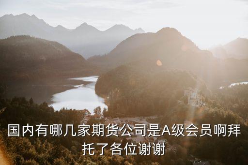 國(guó)內(nèi)有哪幾家期貨公司是A級(jí)會(huì)員啊拜托了各位謝謝