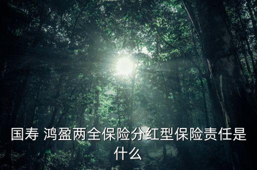 國(guó)壽 鴻盈兩全保險(xiǎn)分紅型保險(xiǎn)責(zé)任是什么