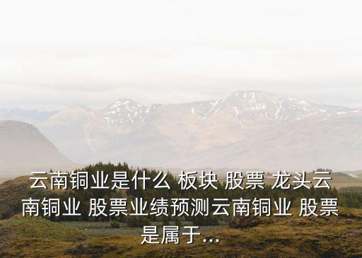 云南銅業(yè)是什么 板塊 股票 龍頭云南銅業(yè) 股票業(yè)績預(yù)測(cè)云南銅業(yè) 股票是屬于...