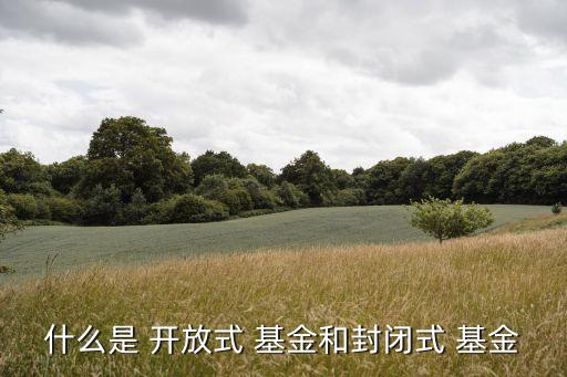 開放基金,對(duì)于普通的股票型開放基金