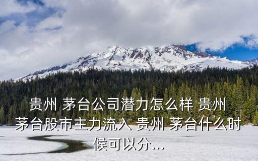貴州茅臺的股票優(yōu)勢,600519貴州茅臺股票