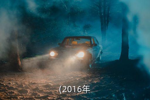 合格的境內(nèi)機構投資者,合格境內(nèi)機構投資者(QDII)