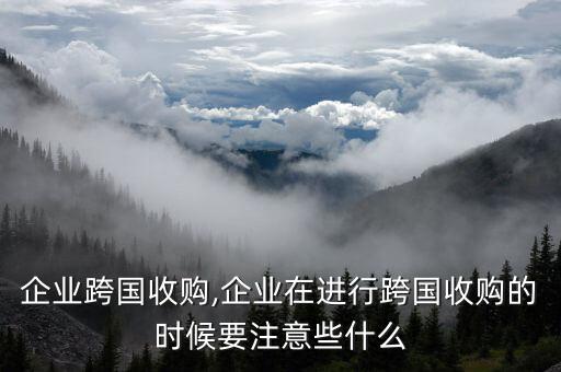 中國企業(yè)跨國收購,企業(yè)在進行跨國收購的時候要注意些什么
