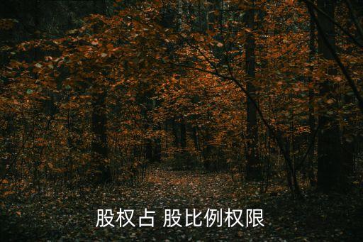 股權占 股比例權限