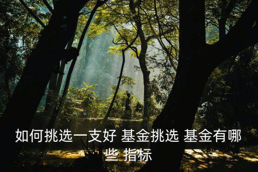 如何挑選一支好 基金挑選 基金有哪些 指標(biāo)