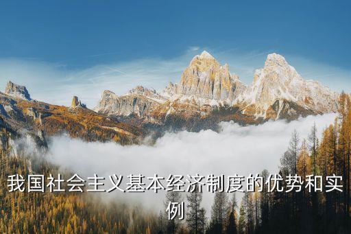我國社會(huì)主義基本經(jīng)濟(jì)制度的優(yōu)勢(shì)和實(shí)例