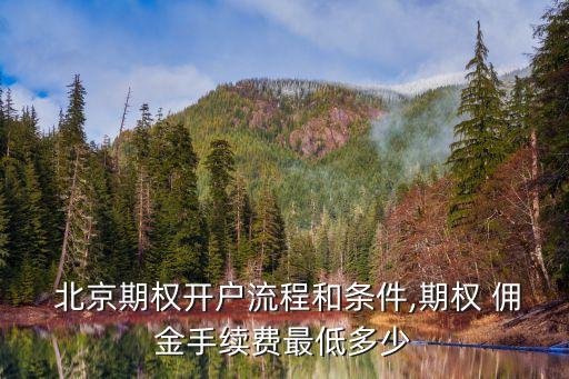  北京期權(quán)開戶流程和條件,期權(quán) 傭金手續(xù)費(fèi)最低多少