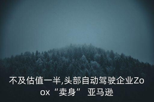亞馬遜收購(gòu)的公司