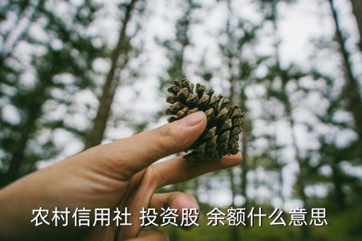 農村信用社 投資股 余額什么意思