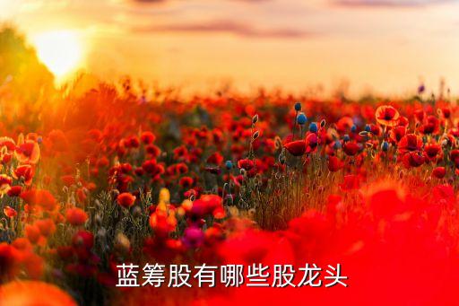  藍籌股有哪些股龍頭
