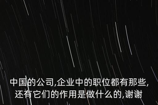 中國(guó)的公司,企業(yè)中的職位都有那些,還有它們的作用是做什么的,謝謝