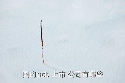 國內pcb 上市 公司有哪些