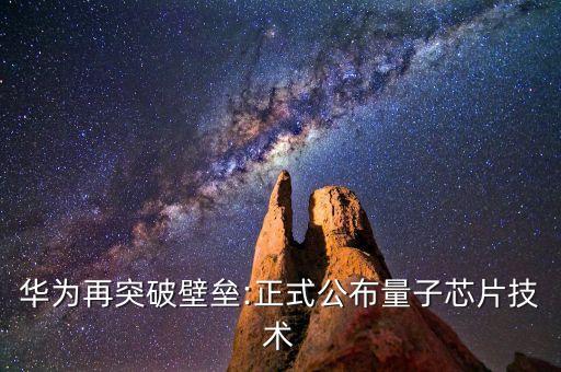 上海光亮子,中國(guó)光亮子芯片