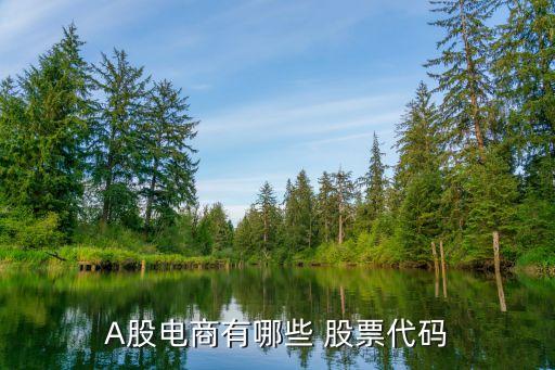 a股服務(wù)業(yè)的股票2015,服務(wù)業(yè)龍頭股票有哪些