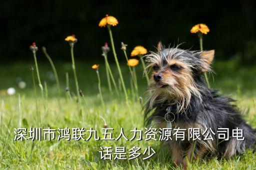  深圳市鴻聯(lián)九五人力資源有限公司電話(huà)是多少