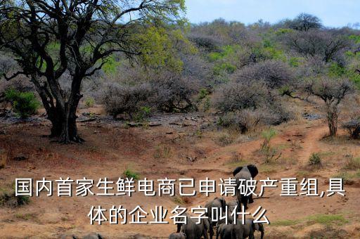 國內(nèi)首家生鮮電商已申請(qǐng)破產(chǎn)重組,具體的企業(yè)名字叫什么