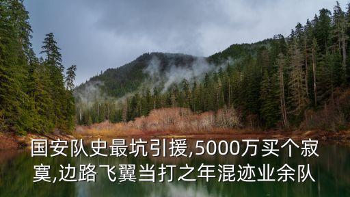 國安隊史最坑引援,5000萬買個寂寞,邊路飛翼當(dāng)打之年混跡業(yè)余隊