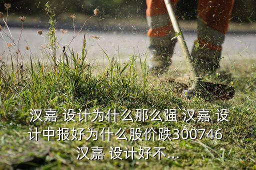 漢嘉設計集團上市了嗎,濟南漢嘉設計集團股份有限公司