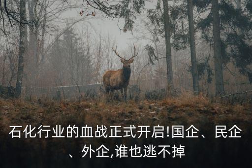 石化行業(yè)的血戰(zhàn)正式開啟!國企、民企、外企,誰也逃不掉