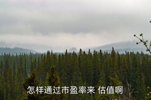 怎樣通過市盈率來(lái) 估值啊