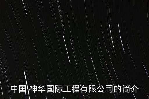 中國(guó) 神華國(guó)際工程有限公司的簡(jiǎn)介