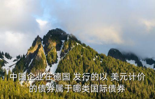 中國(guó)企業(yè)在德國(guó) 發(fā)行的以 美元計(jì)價(jià)的債券屬于哪類(lèi)國(guó)際債券
