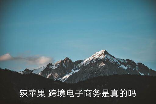 上?？缇畴娚腆w驗(yàn)店,跨境電商實(shí)戰(zhàn)平臺(tái)體驗(yàn)報(bào)告
