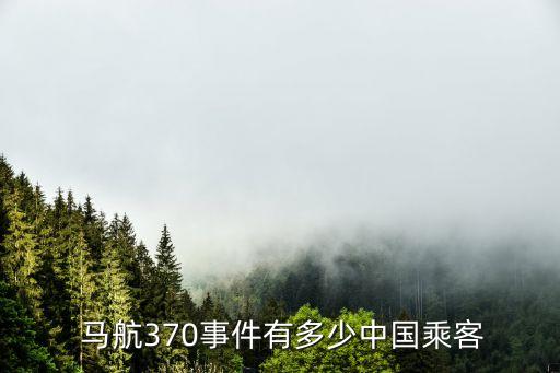 馬航公司,馬航 公司