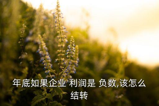 年底如果企業(yè) 利潤(rùn)是 負(fù)數(shù),該怎么結(jié)轉(zhuǎn)