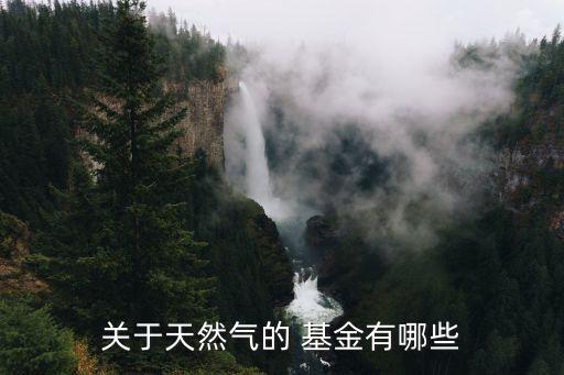 關于天然氣的 基金有哪些