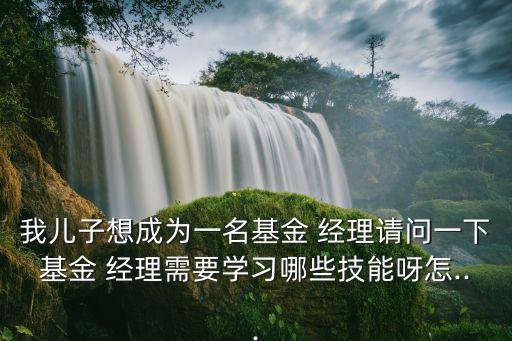我兒子想成為一名基金 經(jīng)理請問一下基金 經(jīng)理需要學(xué)習(xí)哪些技能呀怎...