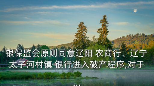 銀保監(jiān)會原則同意遼陽 農(nóng)商行、遼寧太子河村鎮(zhèn) 銀行進入破產(chǎn)程序,對于...