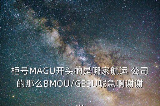 柜號MAGU開頭的是哪家航運(yùn) 公司的那么BMOU/GESU呢急啊謝謝...