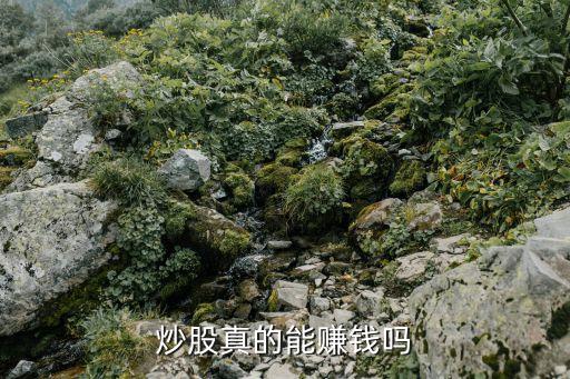 炒股真的能賺錢(qián)嗎