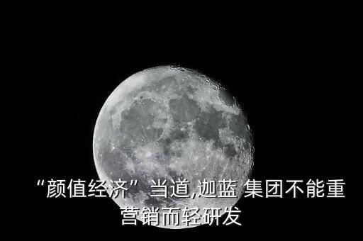 伽藍(lán)集團(tuán)年會(huì),伽藍(lán)(集團(tuán))股份有限公司