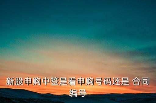 新股申購中簽是看申購號(hào)碼還是 合同編號(hào)